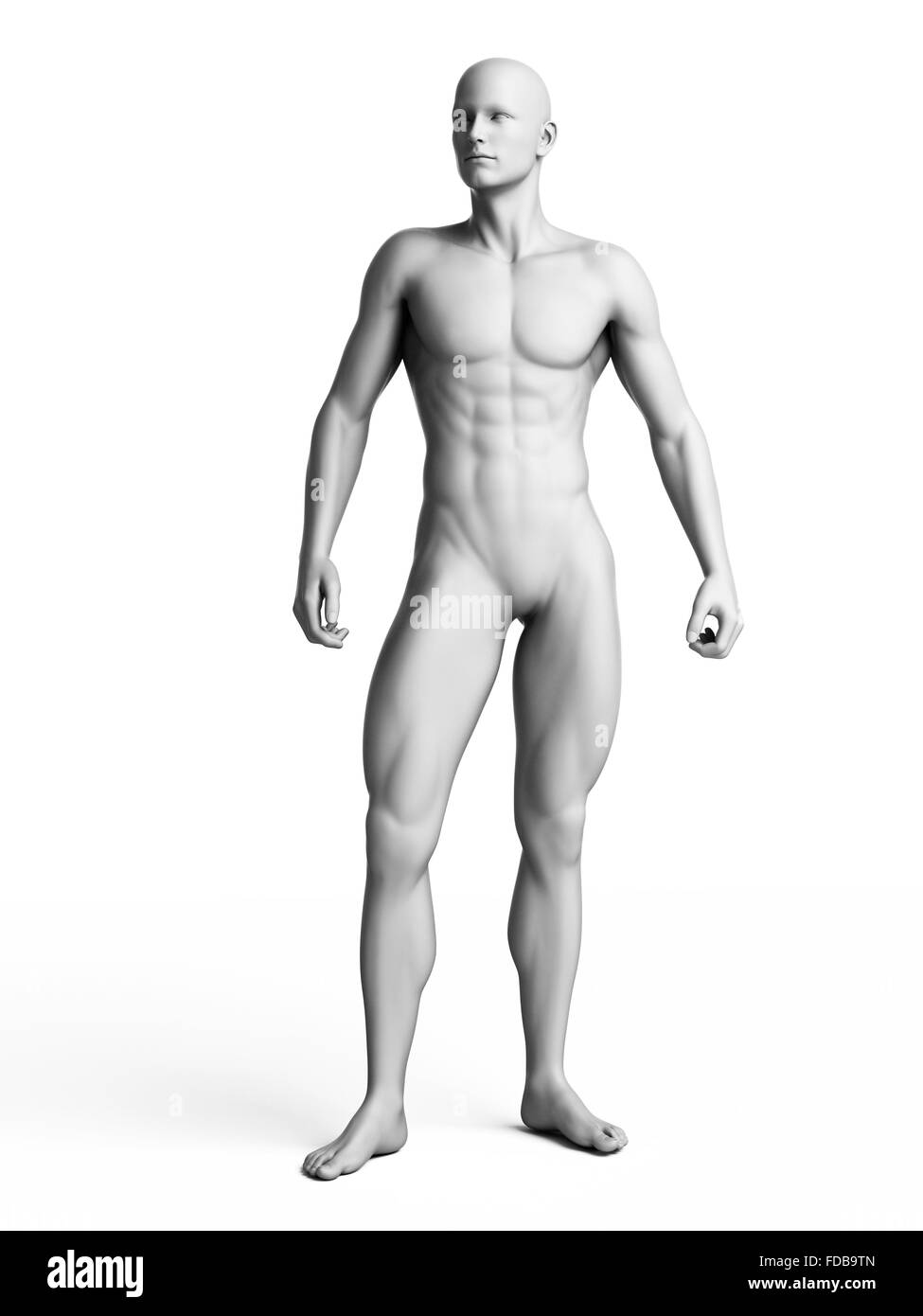 Anatomie eines Mannes stehend, Abbildung. Stockfoto