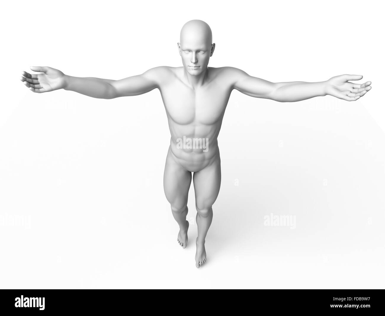 Anatomie eines Mannes stehend mit Arme, Abbildung. Stockfoto