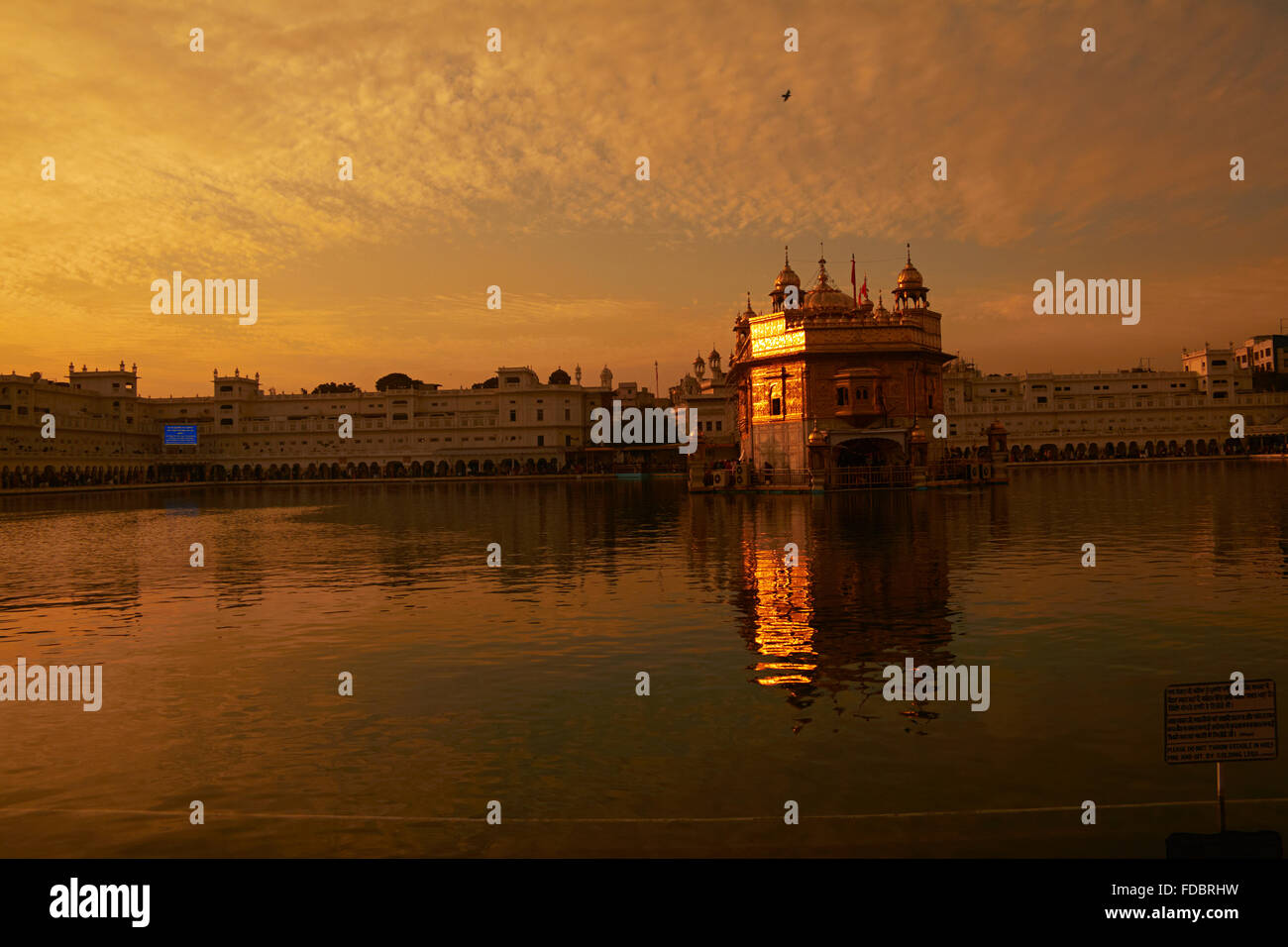 Goldener Tempel amritsar Gurdwara niemand Stockfoto
