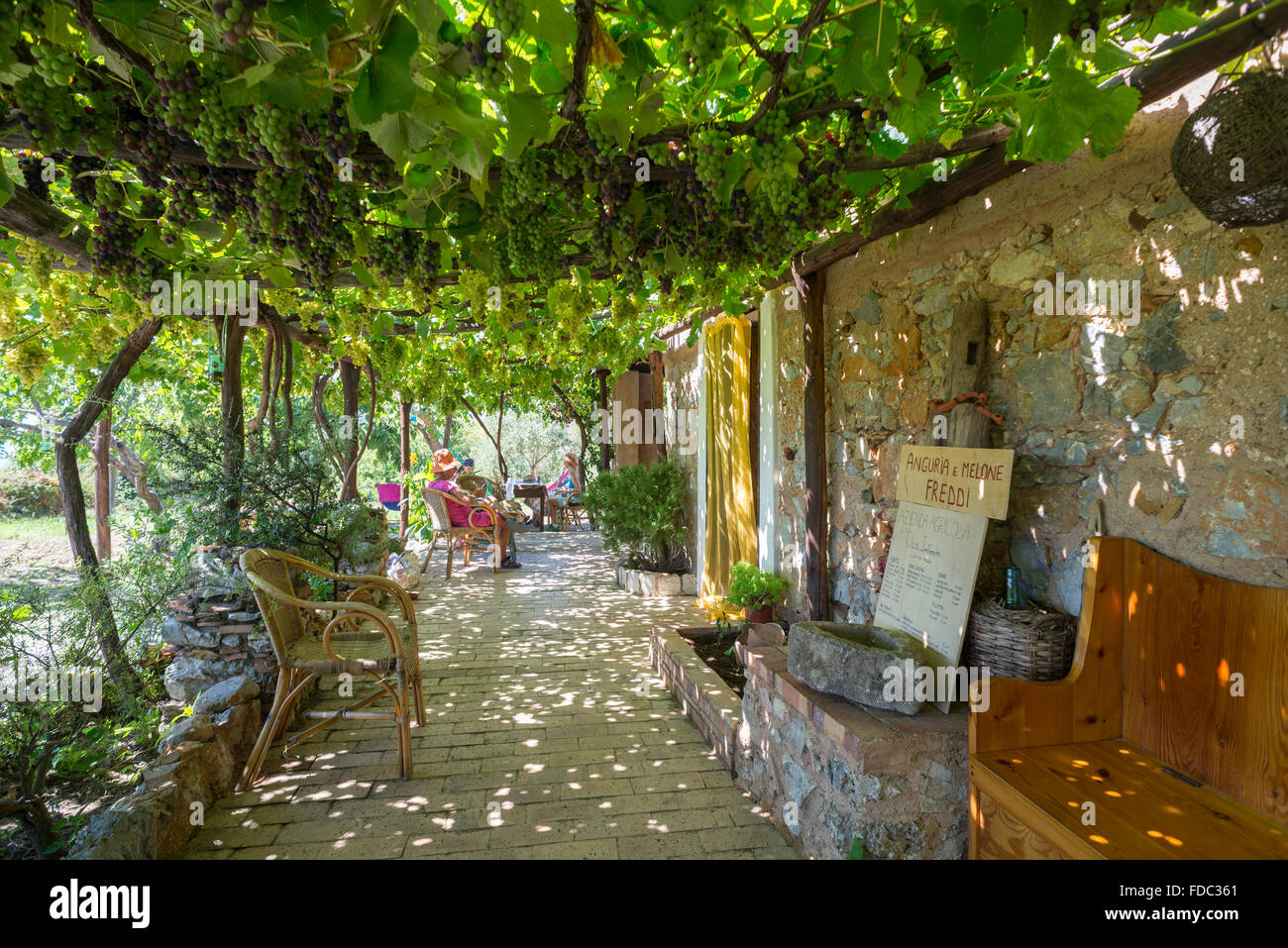 Sitzen unter Reben und Trauben in der Agrotourismus Bar Oasi Degli Infreshi an der mediterranen Küste, Cilento, Kampanien, Italien Stockfoto