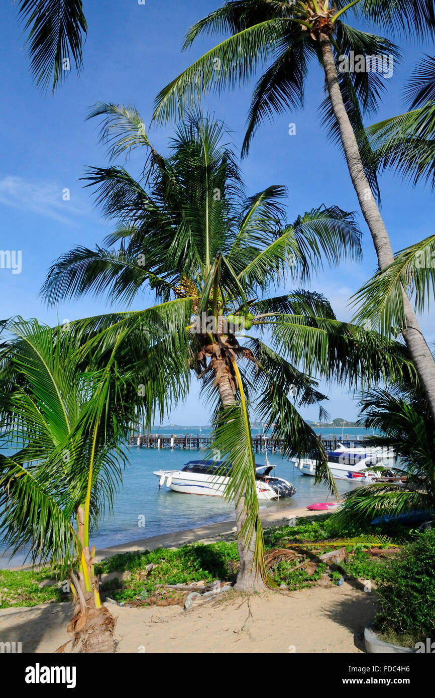 Coco Palm Beach Resort, Maenam Beach, Koh Samui Island, Provinz Surat Thani, Thailand, Südostasien Stockfoto