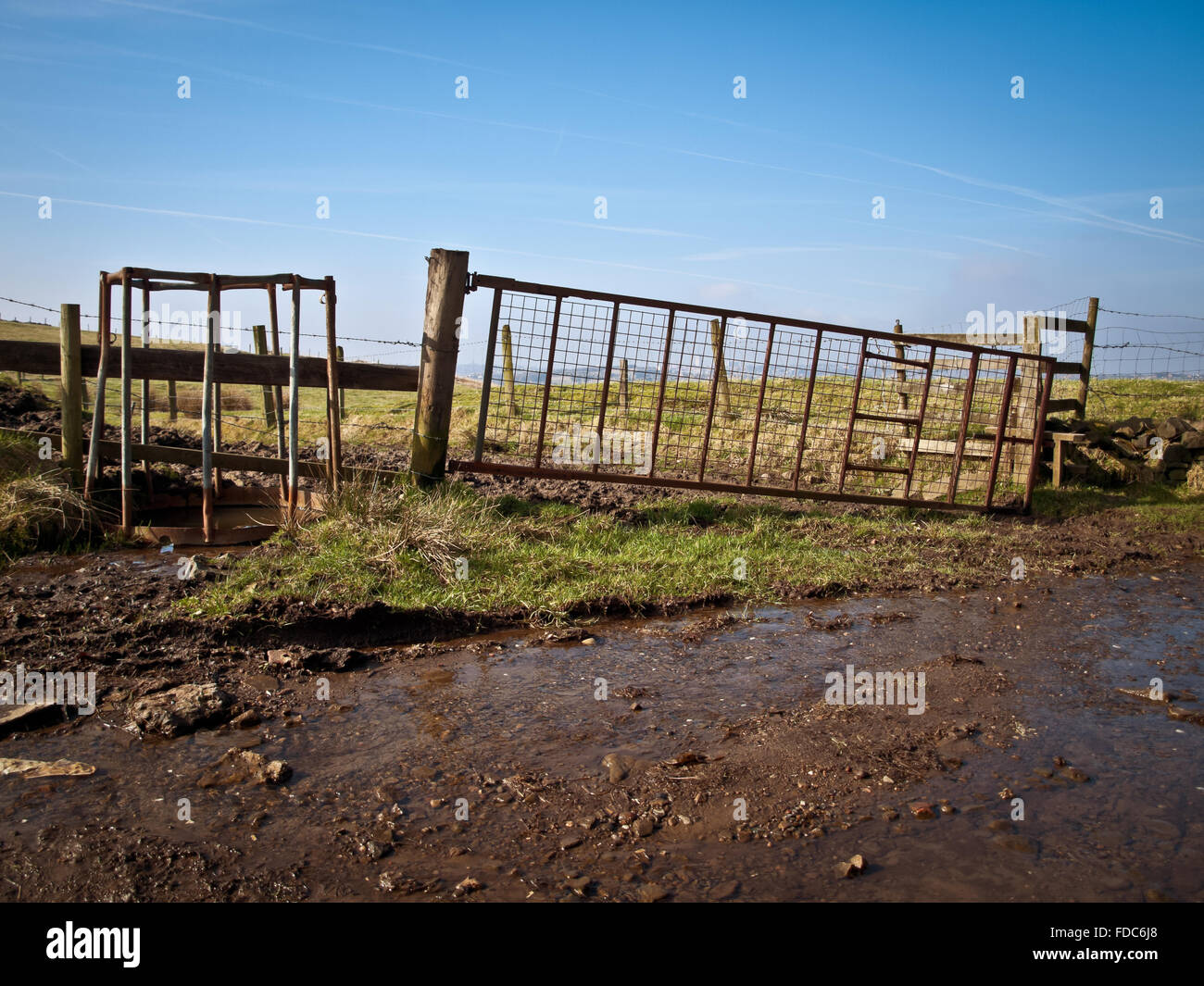 Tränke für das Vieh auf dem Weg zur Hartshead Hecht Stockfoto