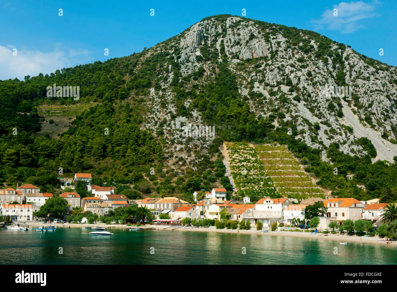 Fernsehreihe, Dalmatien, Halbinsel Peljesac, Trstenik Stockfoto