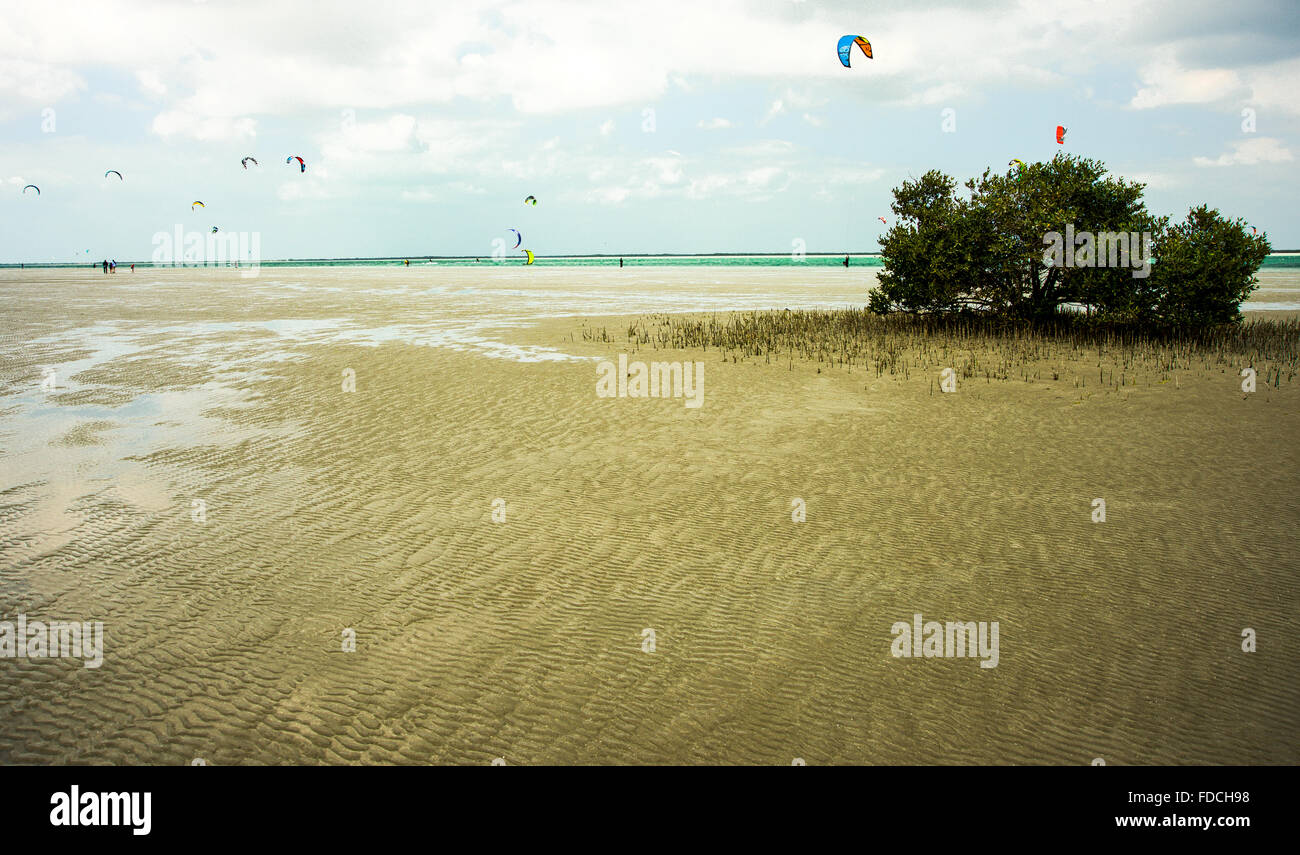 Windiger Tag bei Kite-Surfer-Strand, Abu Dhabi Stockfoto