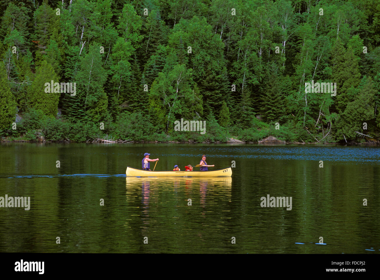Eine Familie, Kanufahren in Wapizagonke See, La Mauricie National Park, Quebec, Kanada Stockfoto