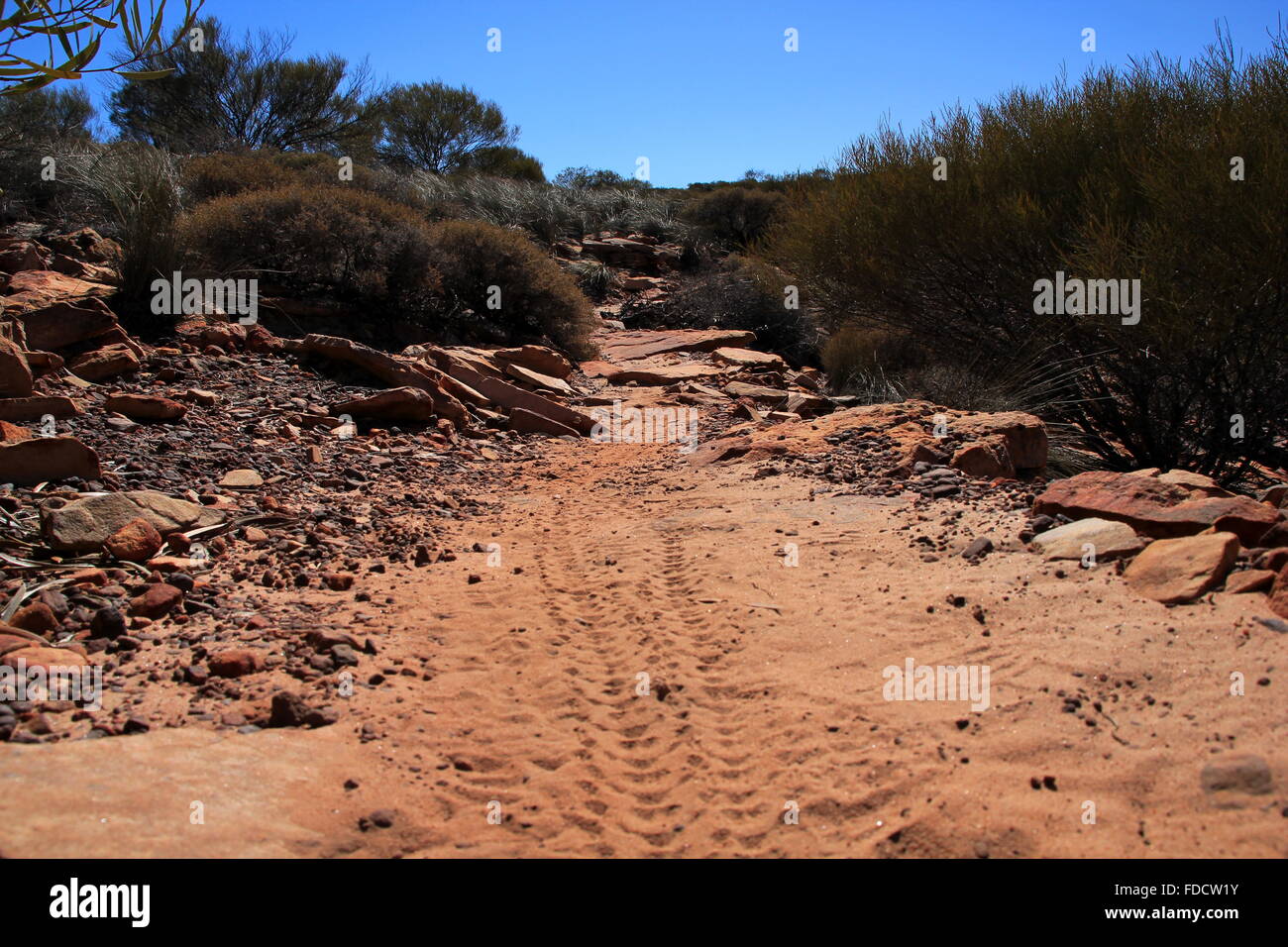 Radwege im roten sand Stockfoto