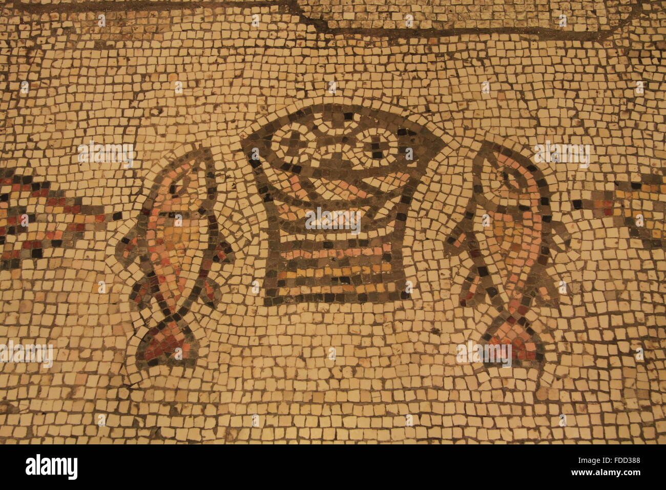 Israel, See Genezareth, das byzantinische Mosaik in der Kirche von der Vermehrung der Brote und der Fische in Tabgha Stockfoto