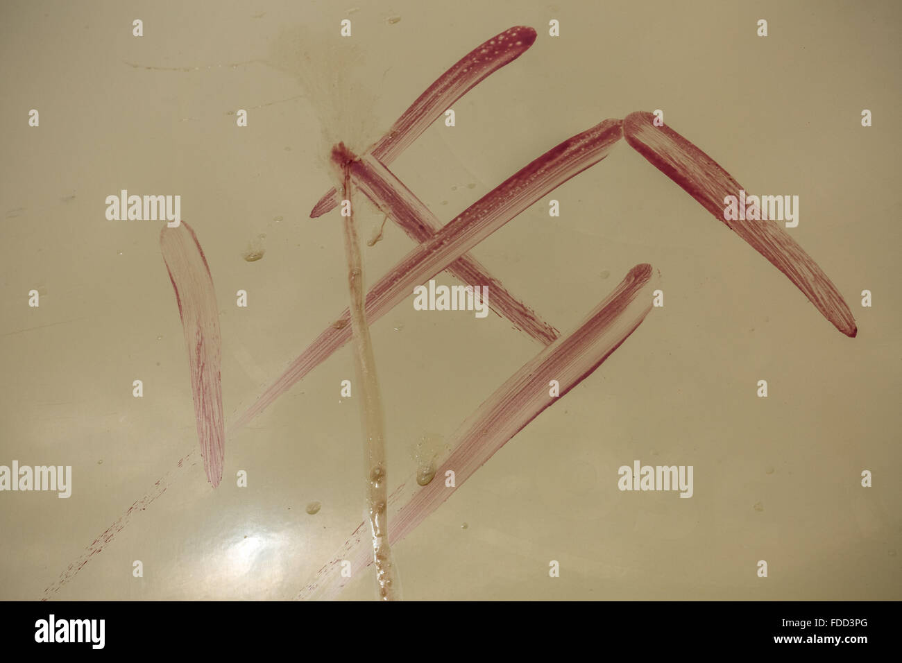 Kent, UK. 30. Januar 2016. Ein Hakenkreuz beschmiert im Blut durch eine rechtsextremen Demonstranten in einem Bus mit London antifaschistischen KostenzählerProtestierendern bei Maidstone Service Station Credit: Guy Corbishley/Alamy Live News Stockfoto