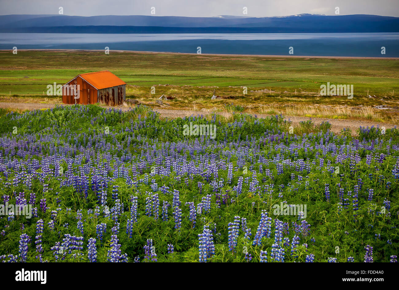 Landschaft, Halbinsel Snæfellsnes, Island. Stockfoto