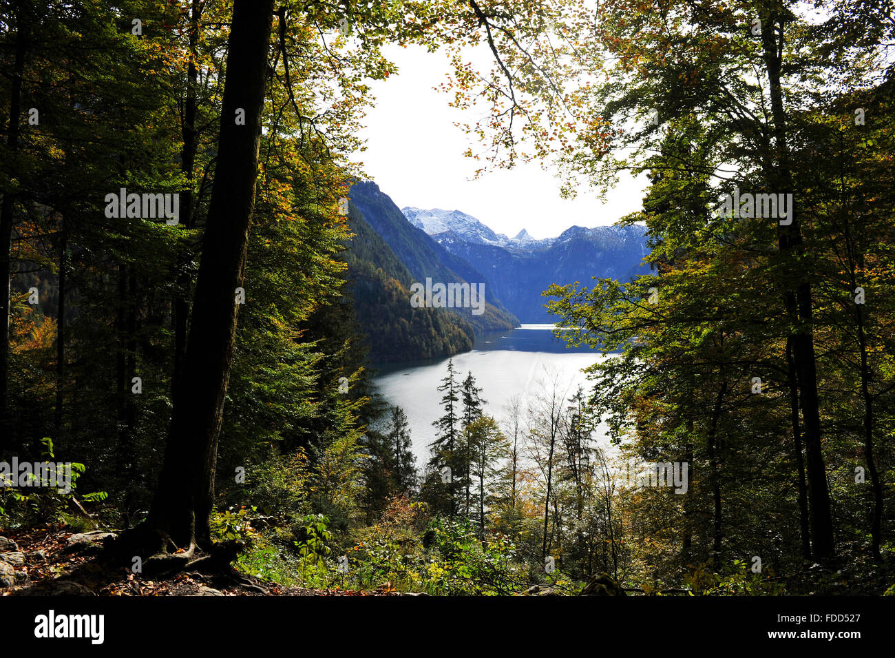 Blick vom Malerwinkel auf Königssee oberen Bayern Deutschland Europa Stockfoto