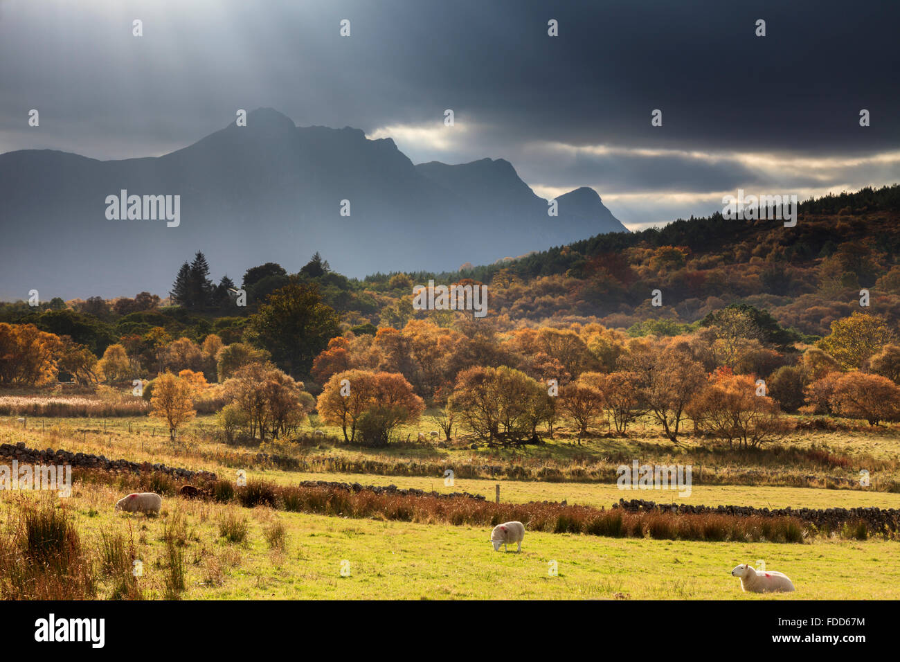 Wellen über Licht eingefangen von in der Nähe von Zunge in den schottischen Highlands, mit Ben Loyal in der Ferne. Stockfoto