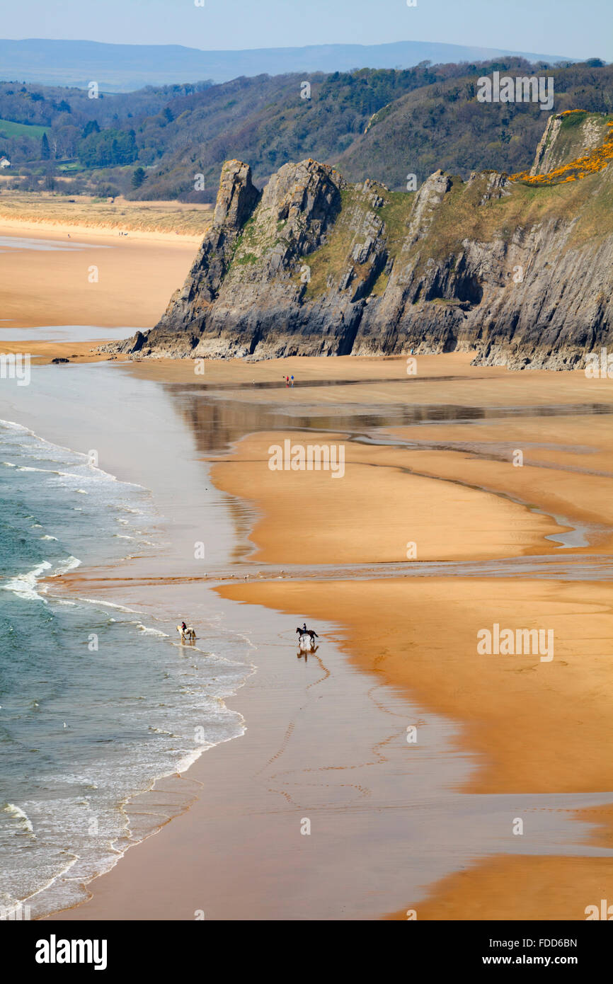 Pferde am Strand von Three Cliffs Bay auf der Gower Halbinsel in South Wales. Stockfoto