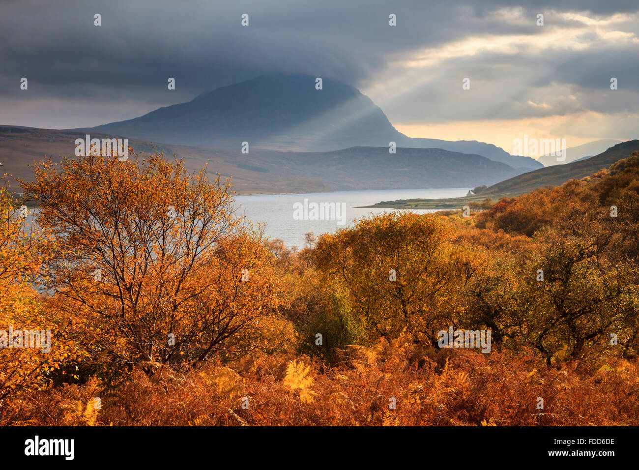 Herbstfärbung auf das westliche Ufer von Loch Loyal in der North West Highlands von Schottland, Stockfoto
