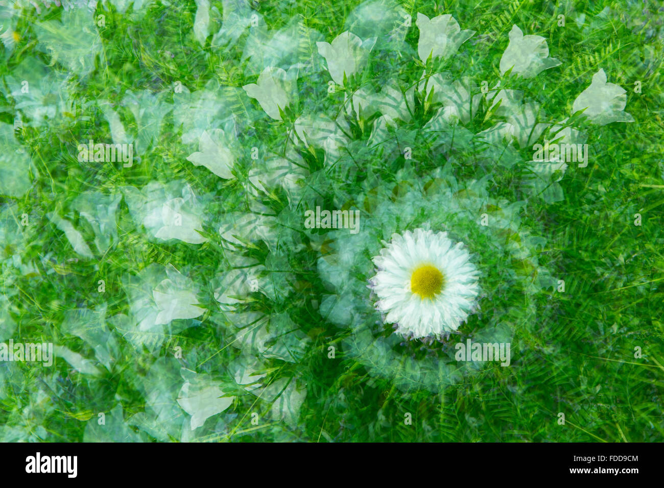 Blumengarten Stockfoto