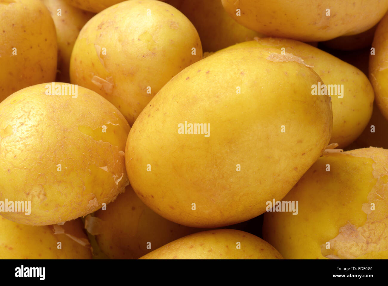 Detail der frische Baby-Kartoffeln Stockfoto