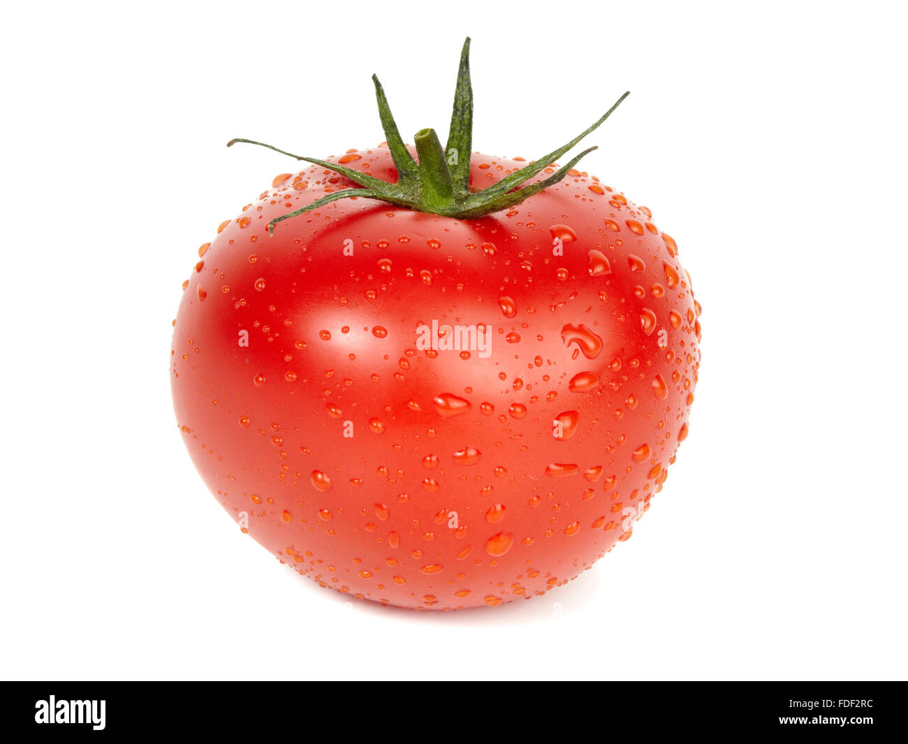 Reife Tomate bedeckt mit Wassertropfen, isoliert auf weißem Hintergrund. Stockfoto
