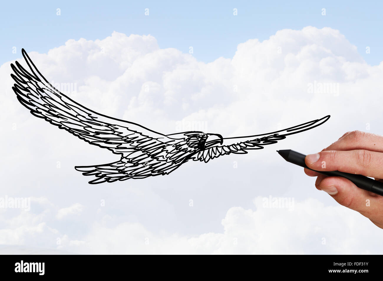 Person Zeichnen Fliegenden Adler Vogel Am Himmelshintergrund Stockfotografie Alamy