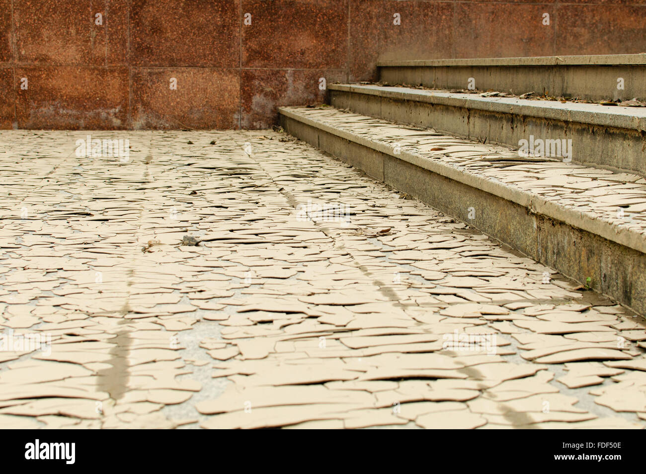 Schlamm aus einer Überschwemmung ausgetrocknet Stockfoto