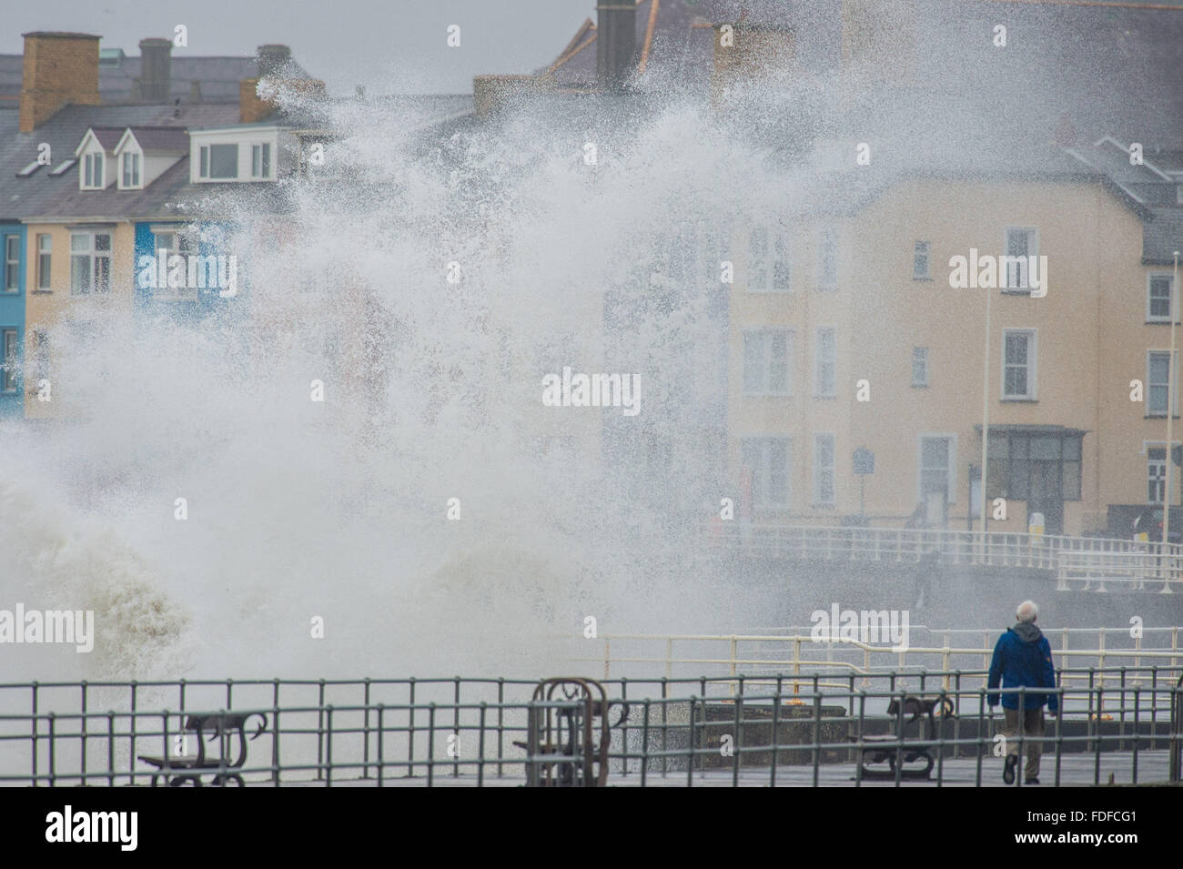 Aberystwyth, Wales, UK. 31. Januar 2016. Als Sturm Gertrude ergibt sich seinen Platz für das nächste Sturmsystem benannte, Sturm Henry, weiterhin riesige Wellen die Küste und das Meer Abwehr in Aberystwyth an der Cardigan Bay, West Wales Teig. Sehr starke Winde und schwere Regen wird voraussichtlich viel von Nordengland und Schottland am Montag und Dienstag, mit Met Office Gelb beeinflussen und Amber Warnungen bereits im Ort Bildnachweis: Keith Morris/Alamy Live-Nachrichten Stockfoto