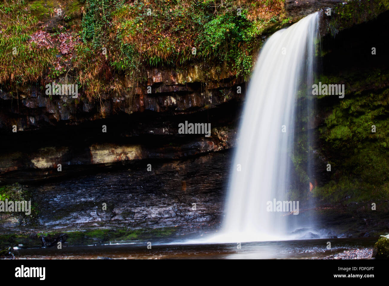 Sgŵd Gwladus Wasserfall im brecon Beacons Nationalpark. Auch bekannt als Lady Falls Stockfoto