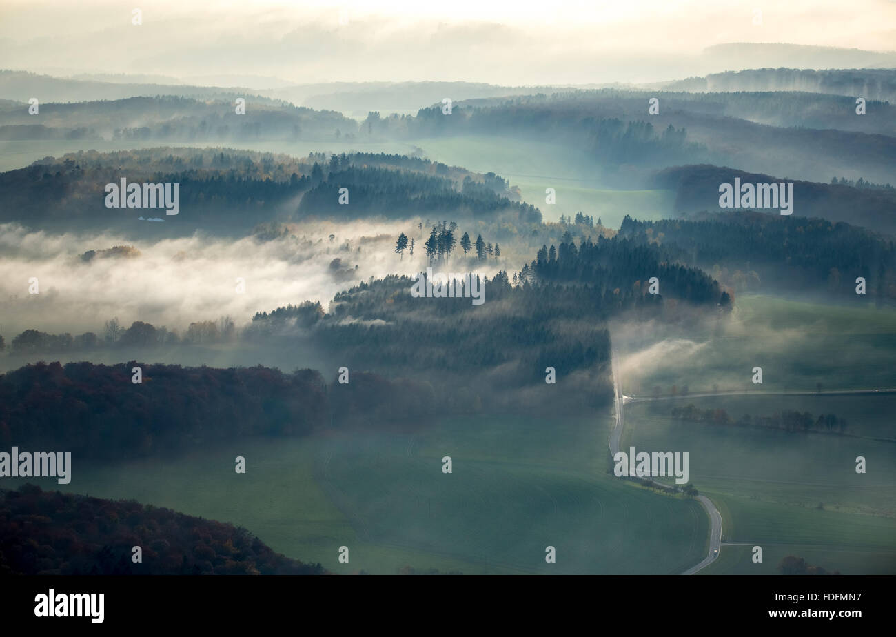 Landstraße durch den Wald, Dichter Nebel, in Nastätten Im Taunus, Rheinland-Pfalz, Deutschland Stockfoto