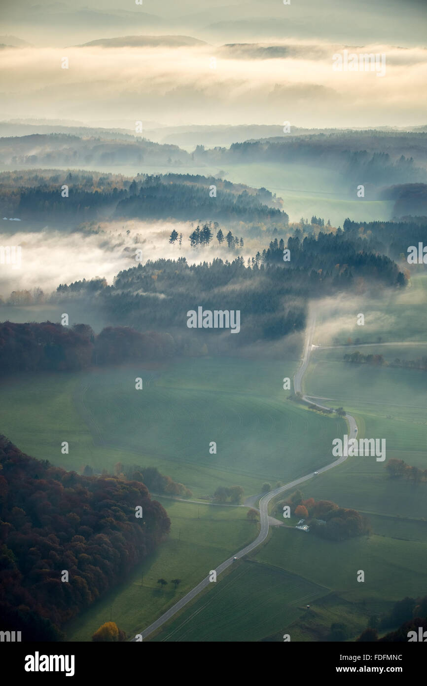 Landstraße durch den Wald, Dichter Nebel, in Nastätten Im Taunus, Rheinland-Pfalz, Deutschland Stockfoto