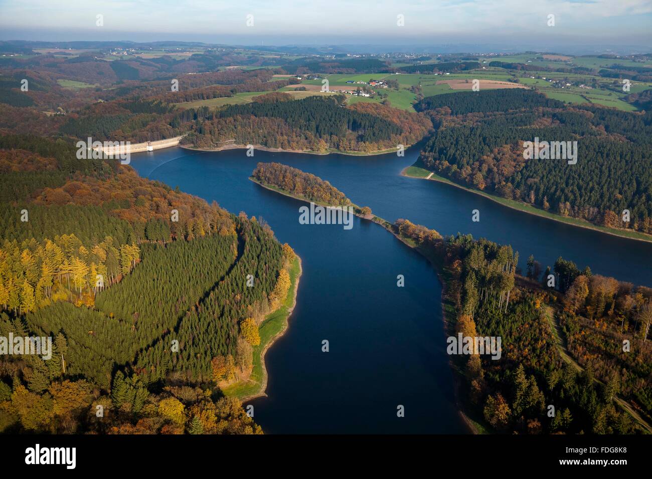 Luftaufnahme, Hasper Talsperre an der Stadt Hagen, goldenen Oktober am Stausee, bunten Herbstwald, Mischwald, Laub Stockfoto