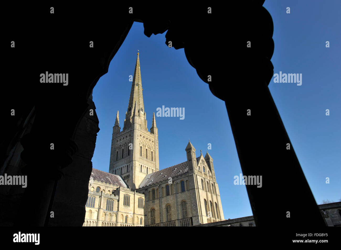 Norwich Cathedral südlichen Querschiff aus den Kreuzgängen, Norfolk, Großbritannien angesehen. Stockfoto