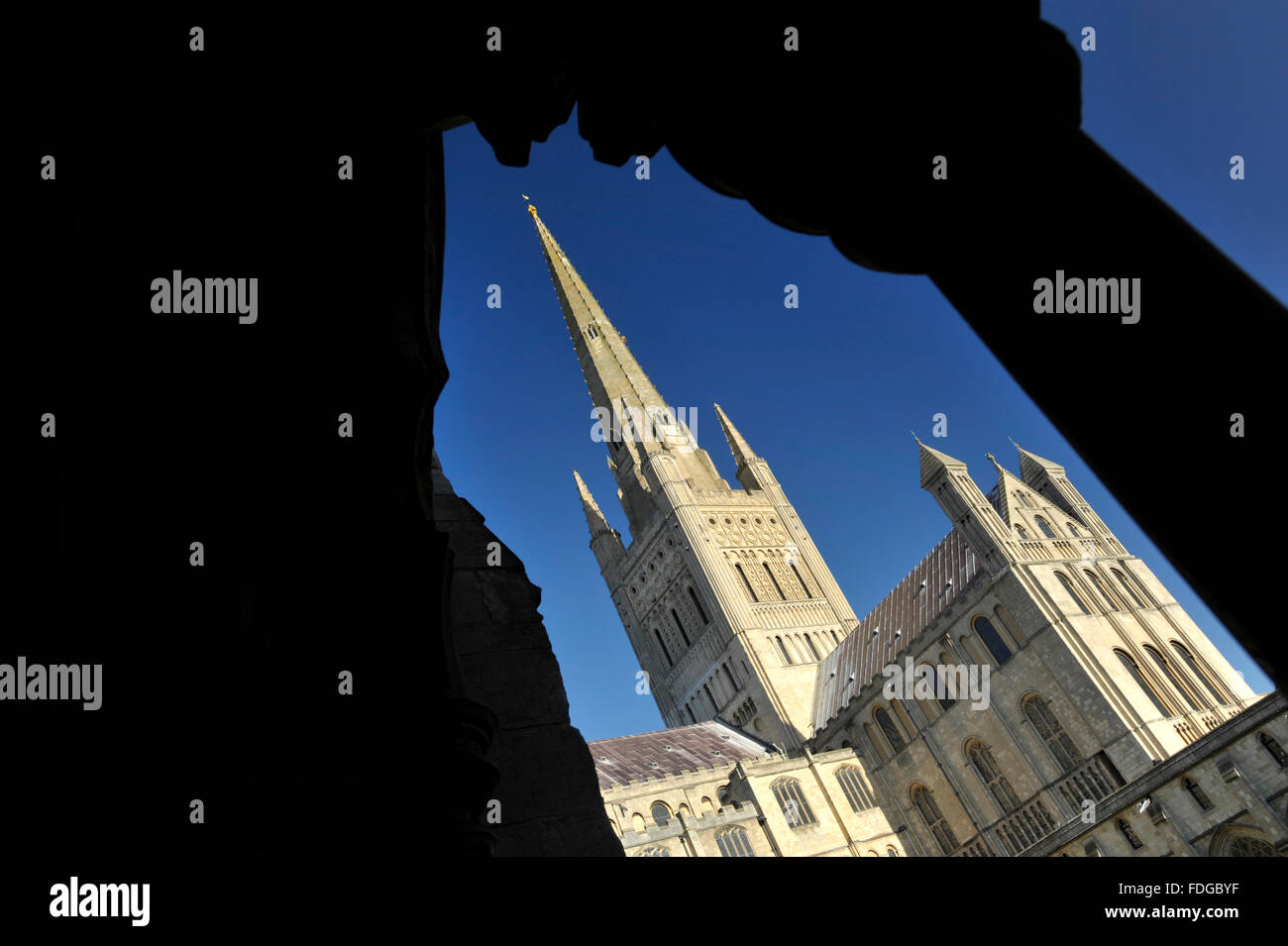 Norwich Cathedral südlichen Querschiff aus den Kreuzgängen, Norfolk, Großbritannien angesehen. Stockfoto