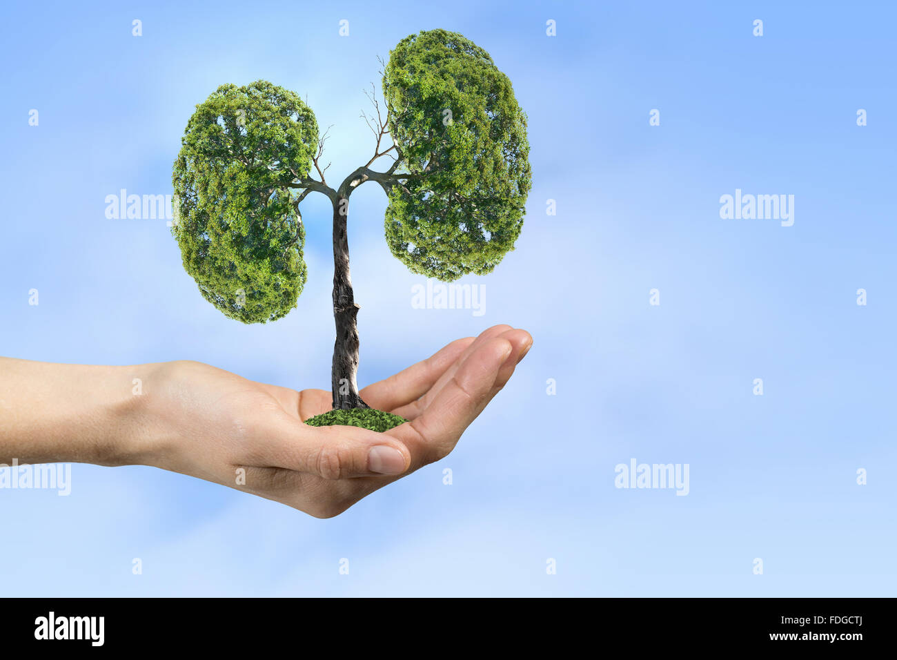 Nahaufnahme von Hand mit grüner Baum-Konzept Stockfoto