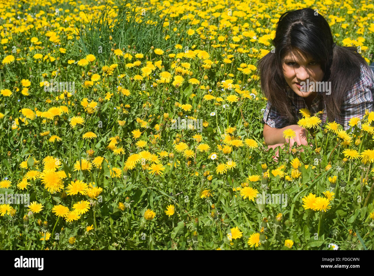 Lächelnde Teenager-Mädchen in Frühlingswiese liegen Stockfoto