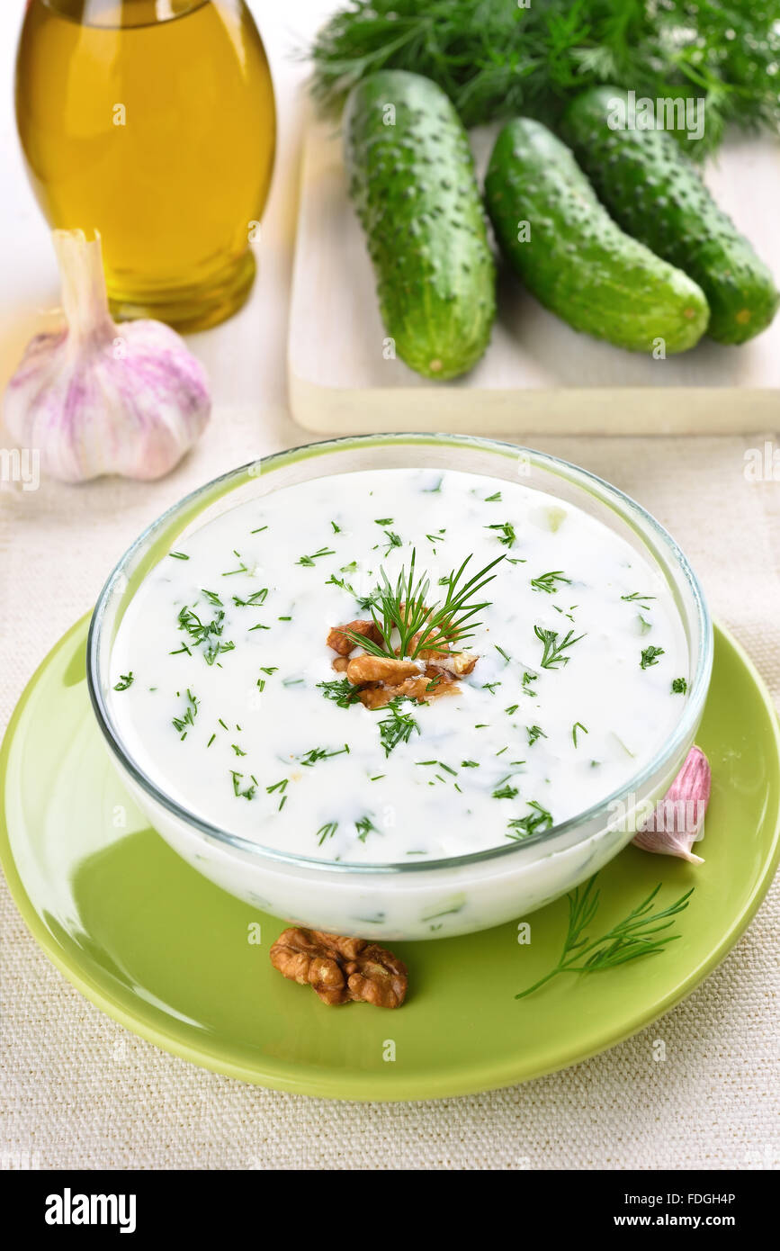 Kalte Suppe mit Gurken, Joghurt und frischen Kräutern Stockfoto