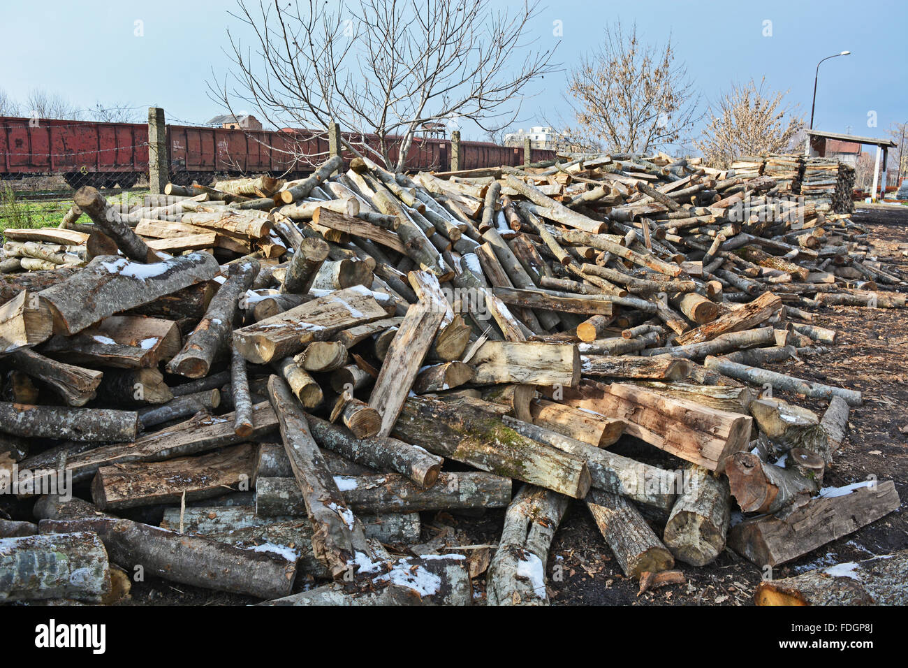 Holzschnitt auf dem Betriebshof des Protokolls und zum Verkauf bereit. Stockfoto