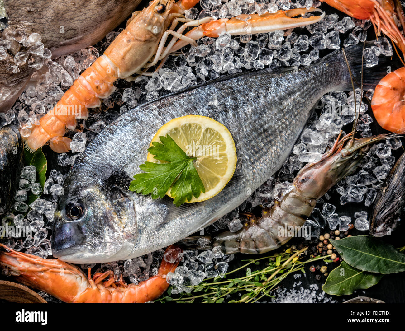 Meeresfrüchte serviert auf schwarzem Stein Stockfoto