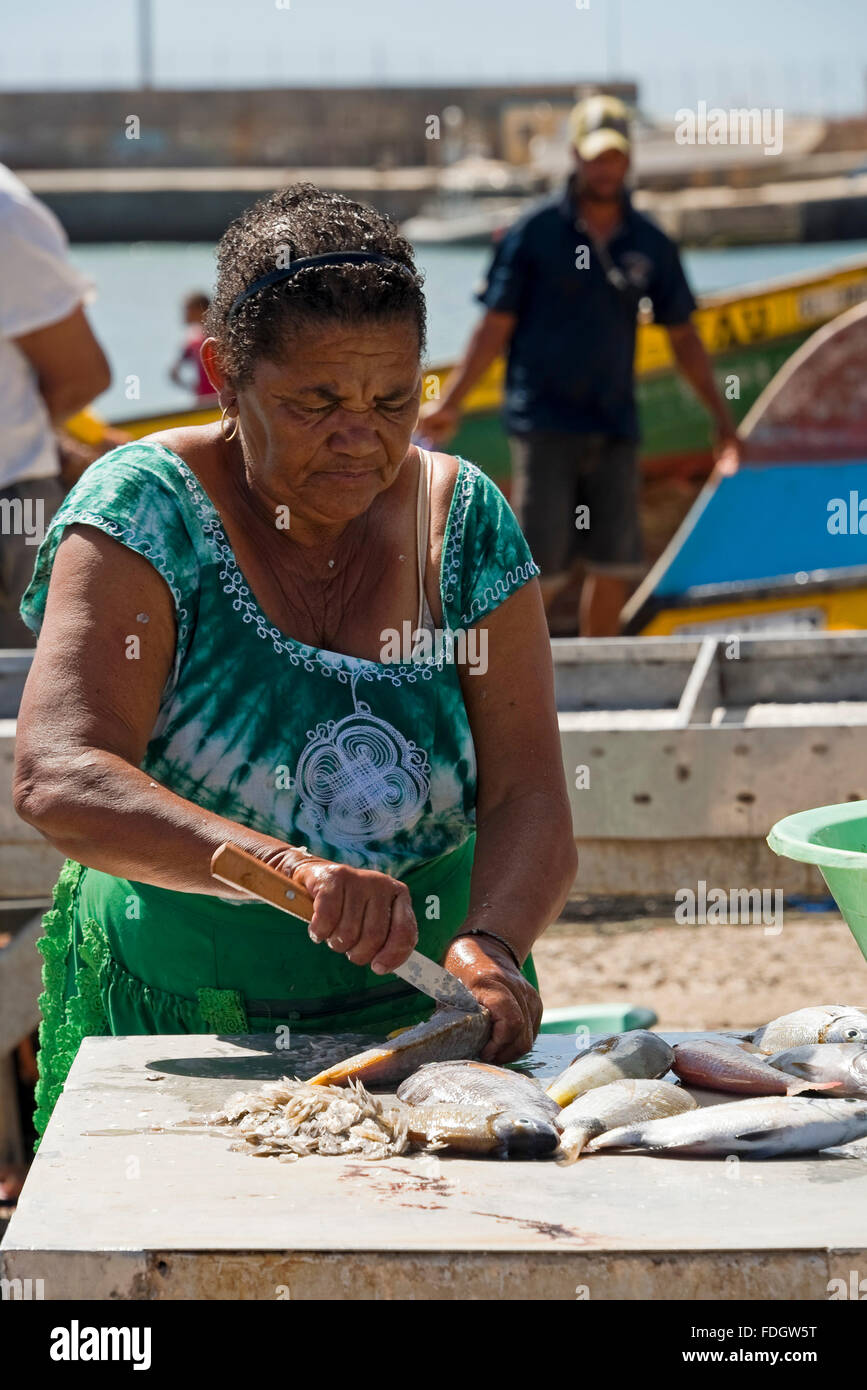 Vertikale Porträt einer lokalen kapverdischen Frau Zubereitung von Fisch auf dem Kai in Palmeira, Kap-Verde Inseln Stockfoto