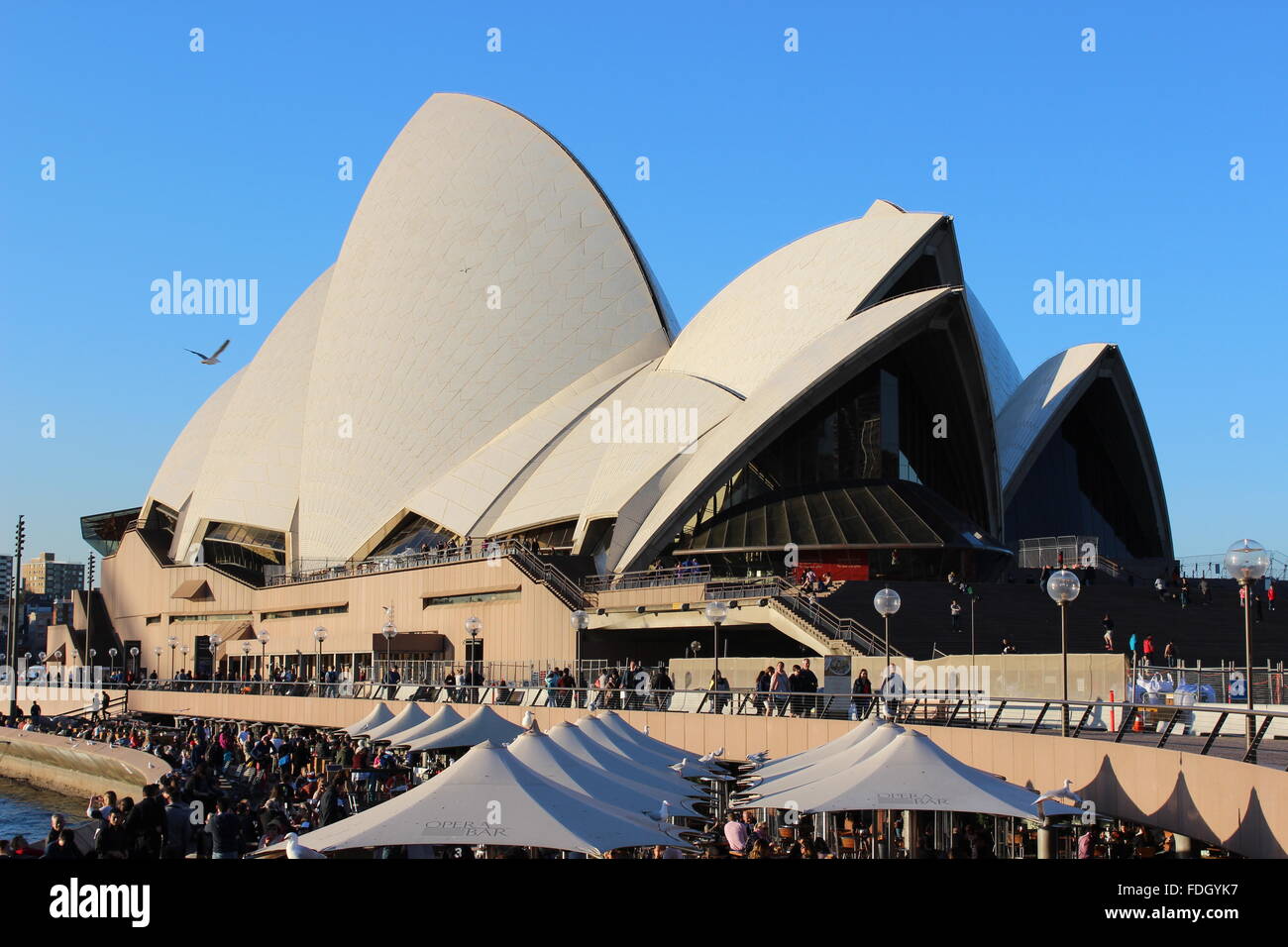 Sydney Opera house Stockfoto