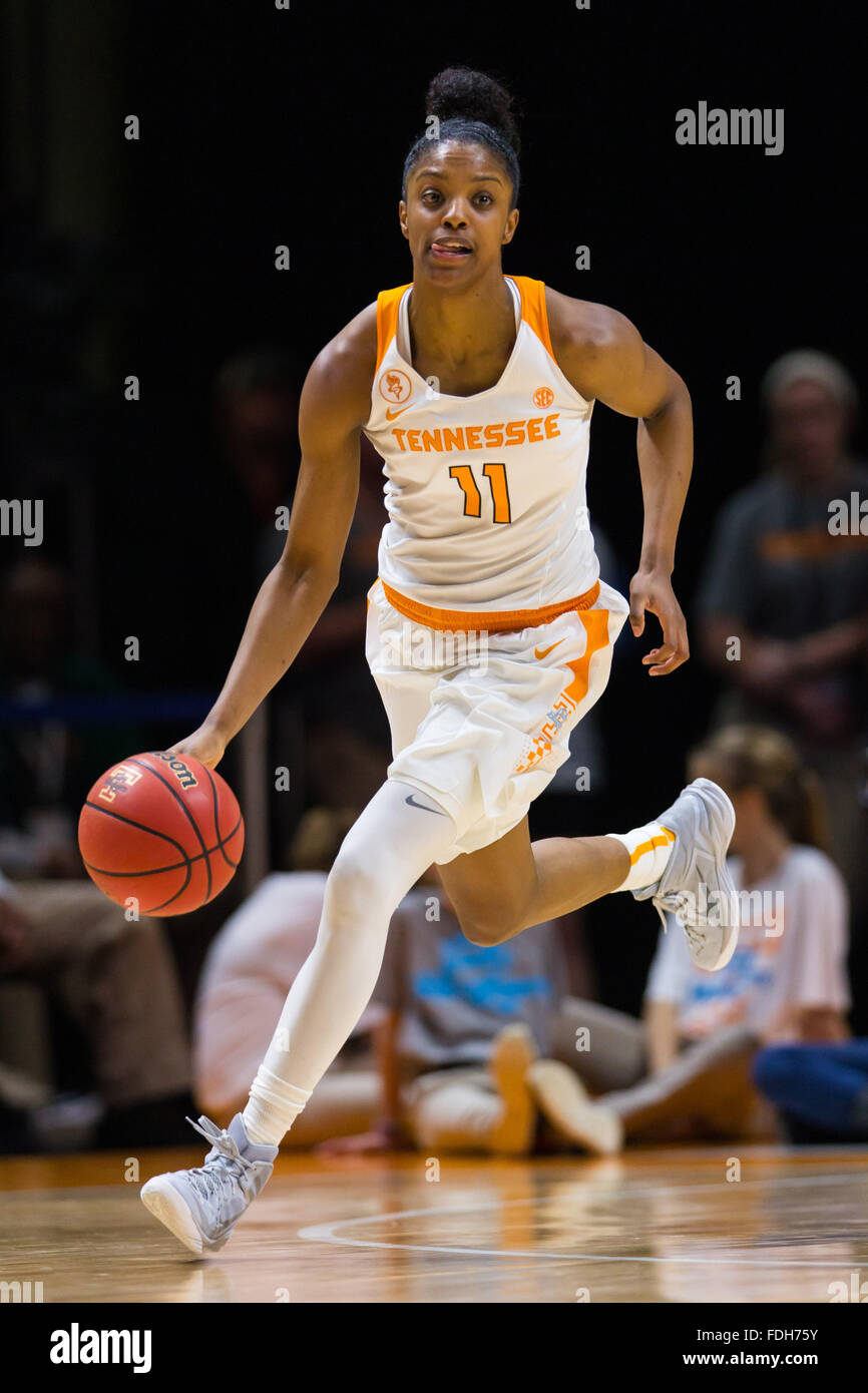 31. Januar 2016: Diamond DeShields #11 der Tennessee Lady Freiwilligen bringt den Ball Hof bei den NCAA-Basketball-Spiel zwischen der University of Tennessee Lady Freiwilligen und der University of Alabama Crimson Tide in der Thompson-Boling-Arena in Knoxville TN Tim Gangloff/CSM Stockfoto