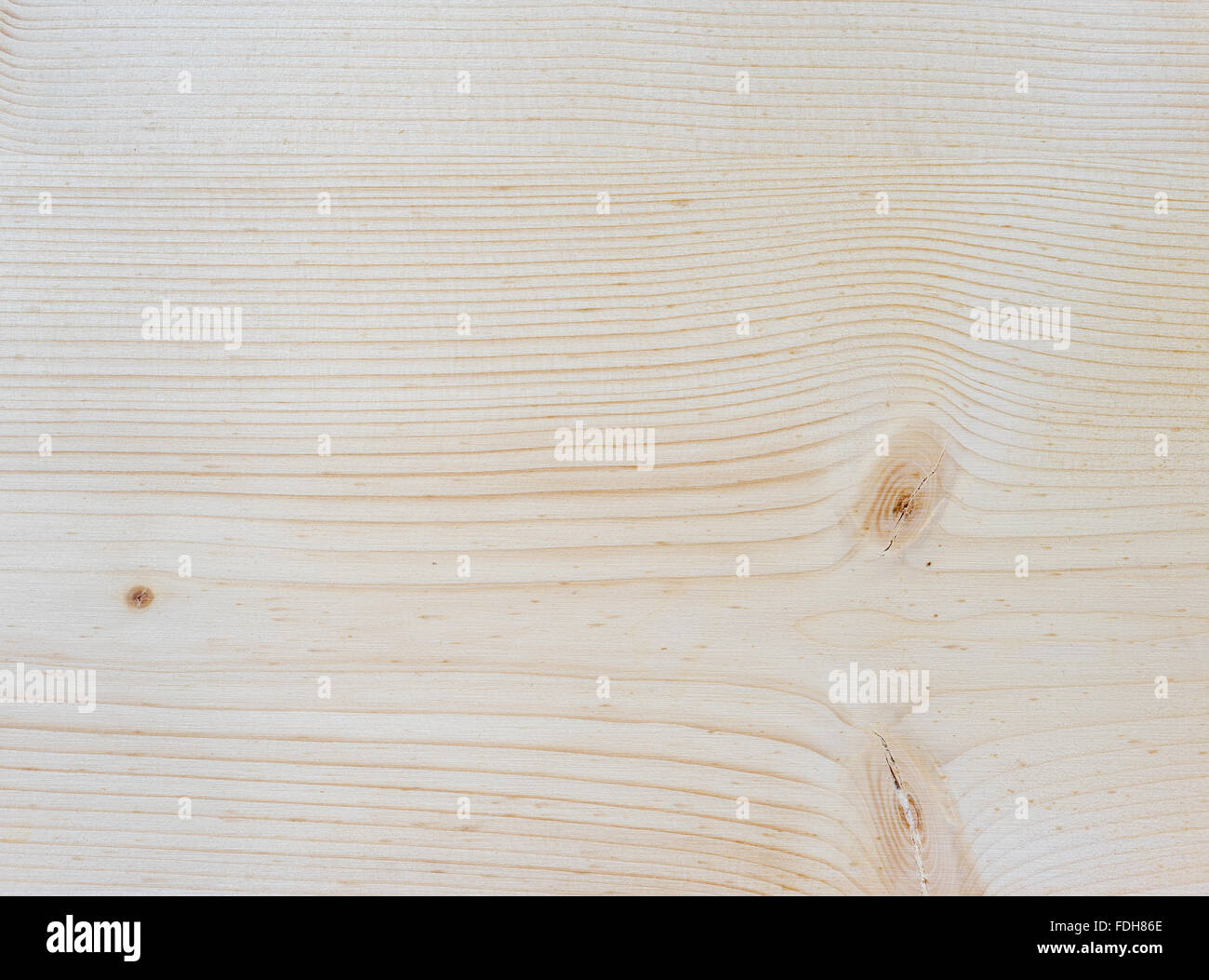 Textur hellem Holz unbehandelt Stockfoto