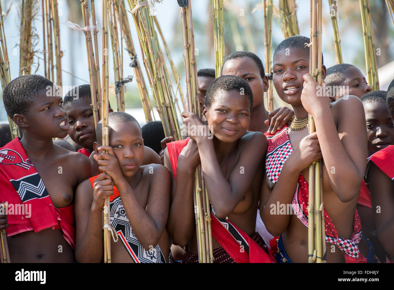 Porträts der jungen Damen am Reed Dance-Ludzidzini, Swasiland, Afrika - die Swazi Umhlanga oder Reed dance Zeremonie, 100.000 u Stockfoto