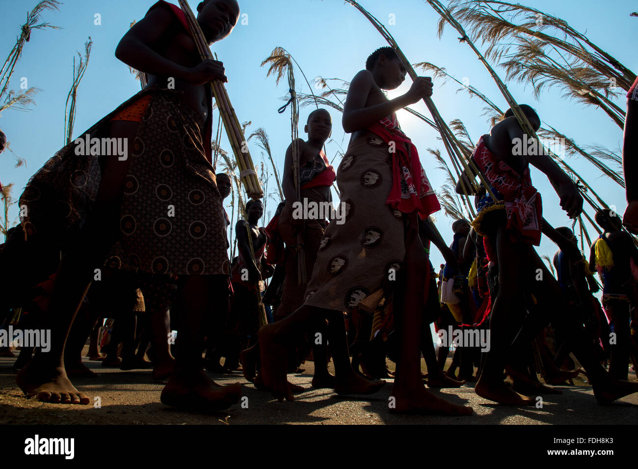 Ludzidzini, Swasiland, Afrika - die Swazi Umhlanga oder Reed Dance Zeremonie, 100.000 unverheiratete Frauen oder Jungfrauen, feiern thei Stockfoto