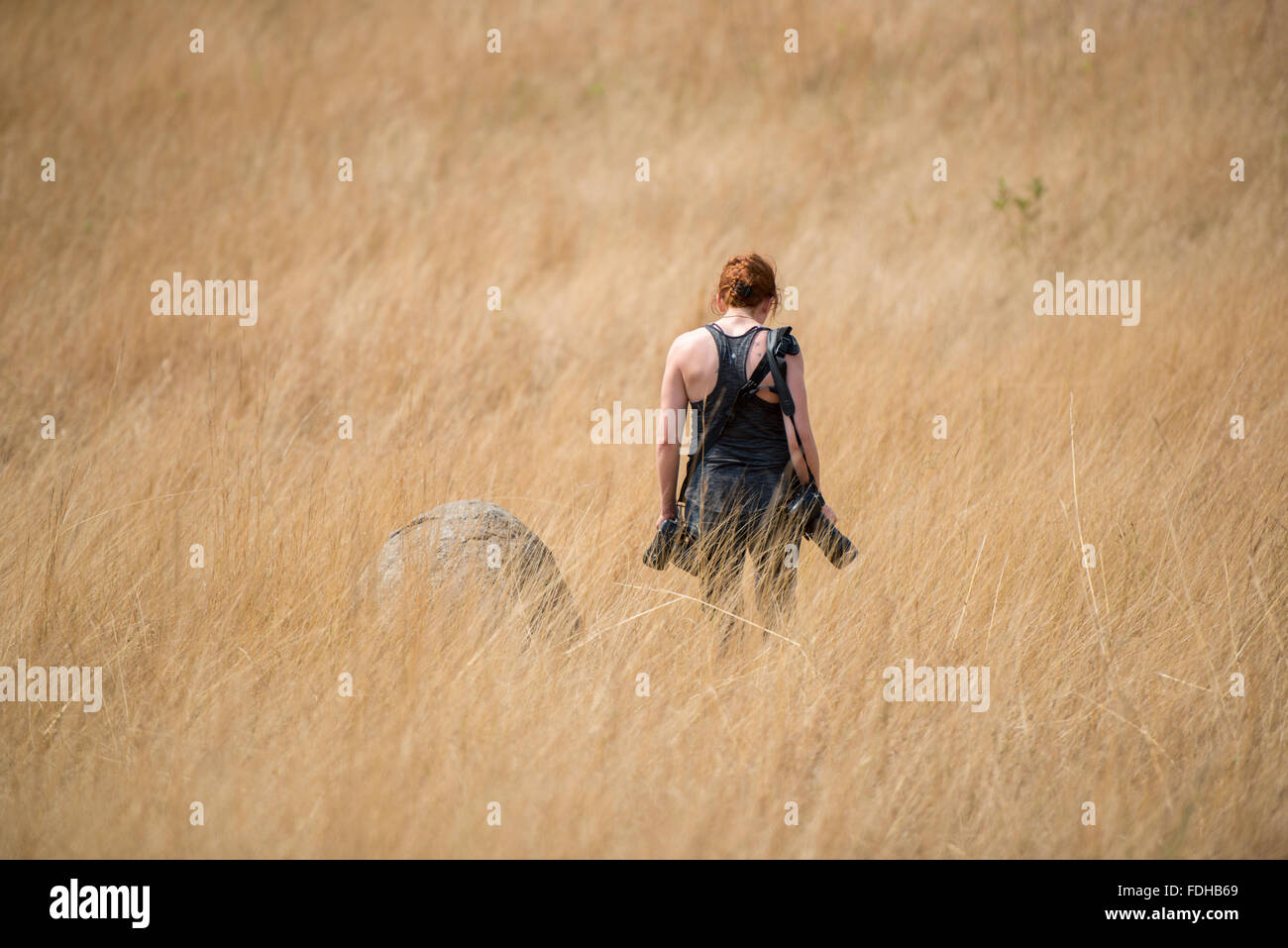 Rote Kopf Mädchen stehend mit Kameras mitten auf einem Feld im Mlilwane Wildlife Sanctuary in Swasiland, Afrika. Stockfoto