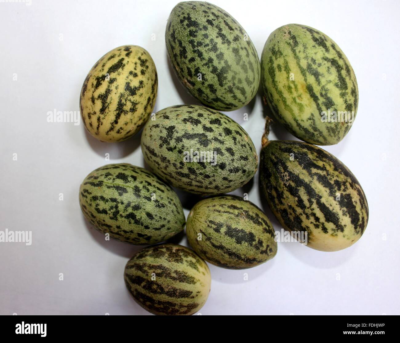 Wild Melon, Cucumis Melo Var Agrestis, kleine fruchtigen Melone mit grüner Haut mit dunklen grünen Flecken, blasse grüne Fleisch, Gurke Stockfoto