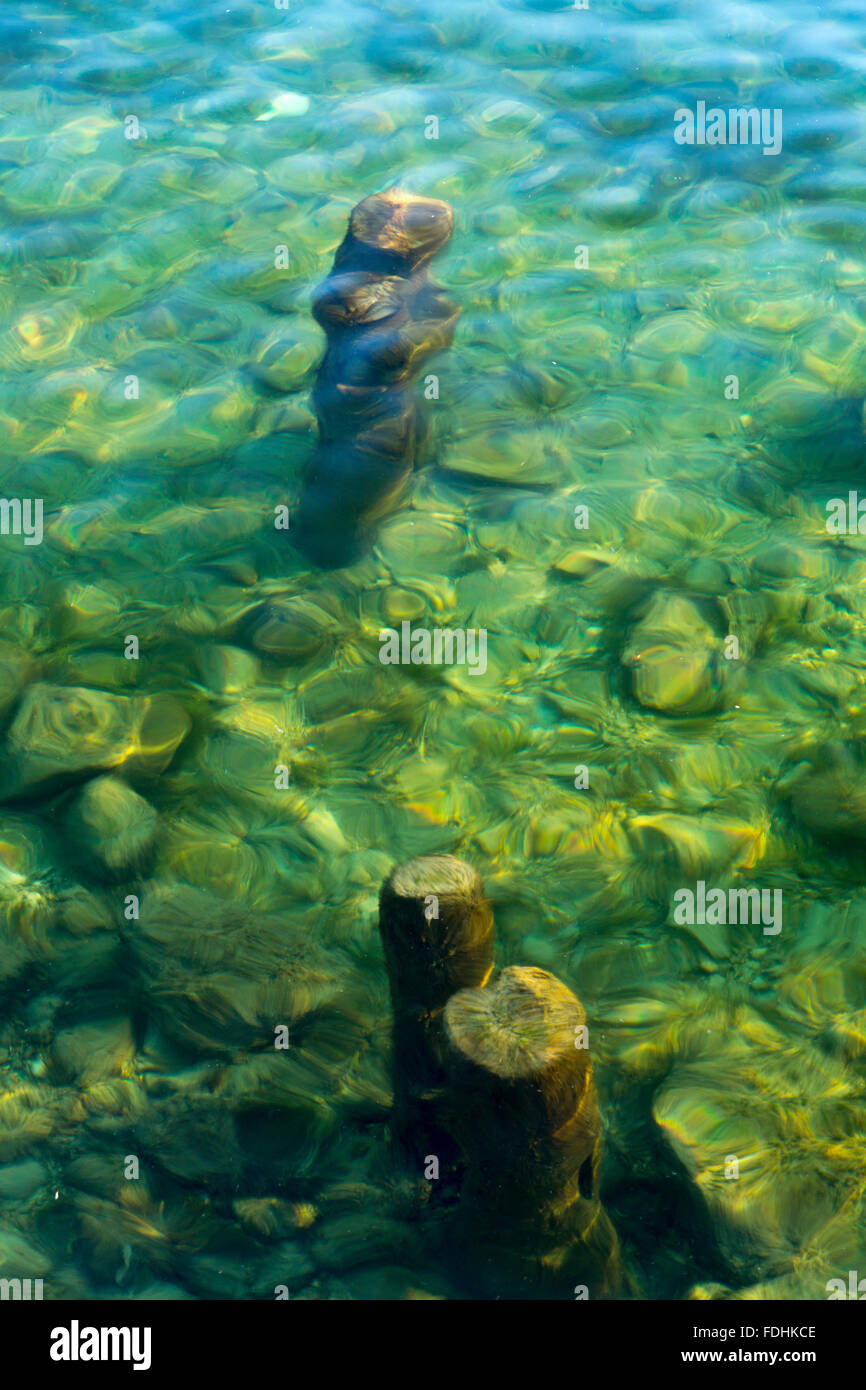 Alte hölzerne Pfähle im Traunsee, Oberösterreich Stockfoto