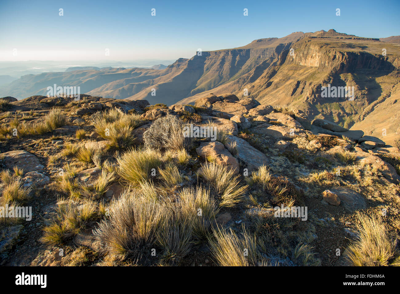 Landschaft mit Bergen und Sträucher in Lesotho, Afrika Stockfoto