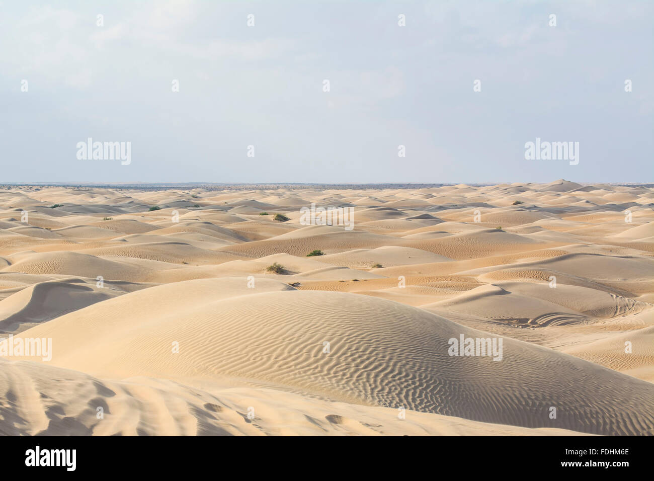 Sanddünen in der Wüste Wahiba Sands Stockfoto
