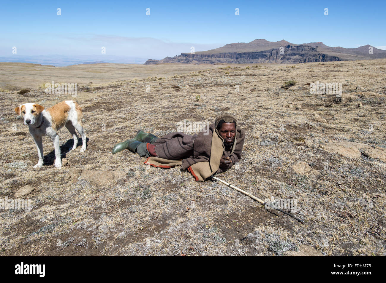 Hirte mit seinem Hund in einer weiten Ebene in Lesotho, Afrika Stockfoto