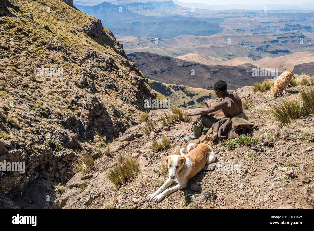 Porträt eines lokalen Hirten sitzen mit seinen Hunden in den Bergen von Lesotho, Afrika Stockfoto