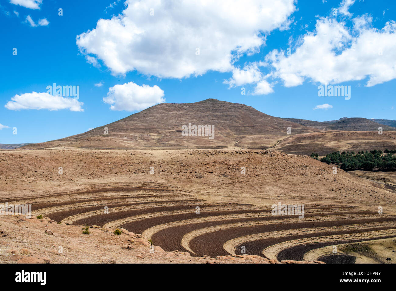 Terrassenförmig angelegten Streifen Ackerland in Somenkong, Lesotho, Afrika Stockfoto