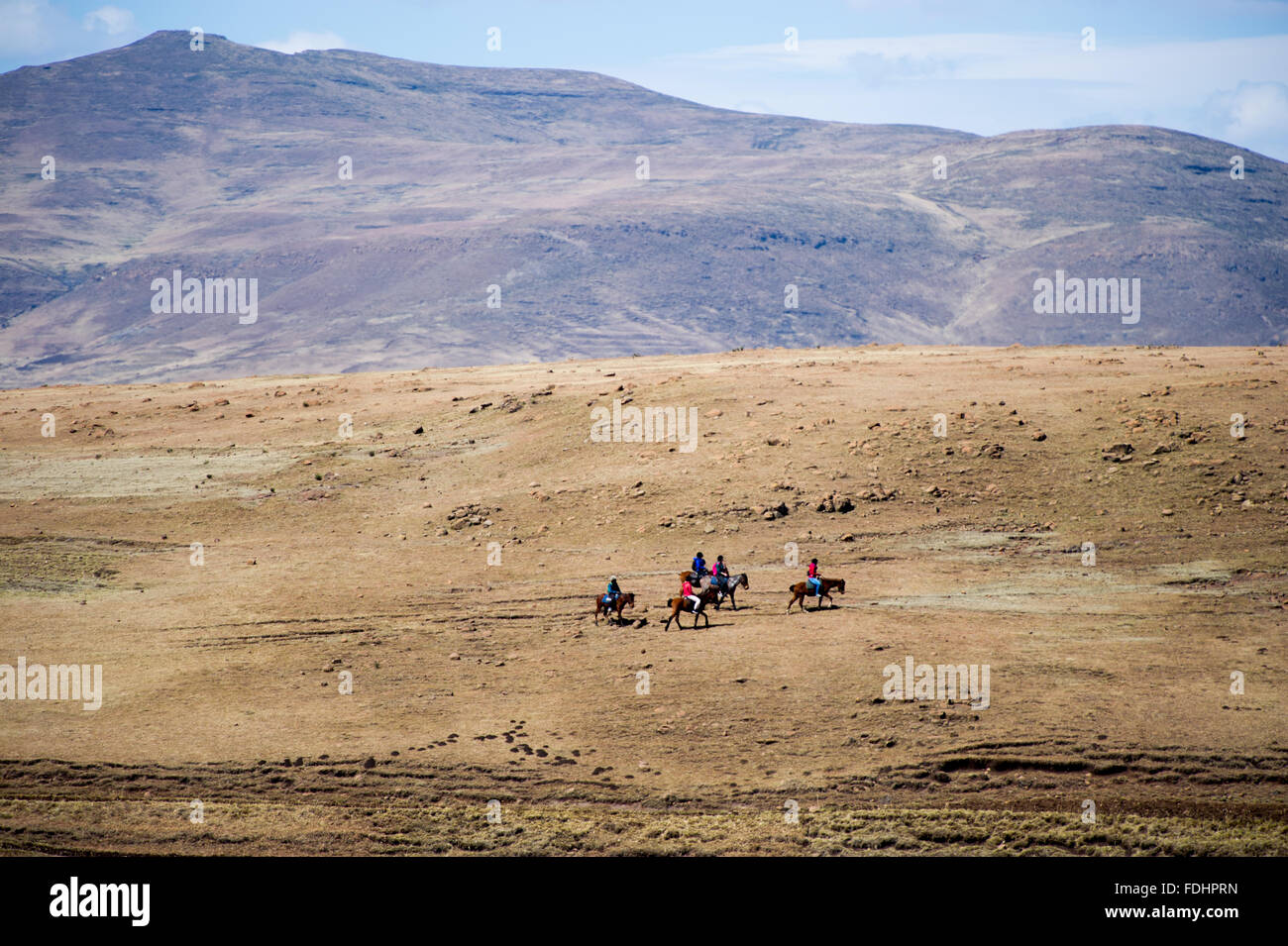 Gruppe von Touristen reiten Ponys durch unwegsames Gelände in den Bergen von Somenkong, Lesotho, Afrika Stockfoto