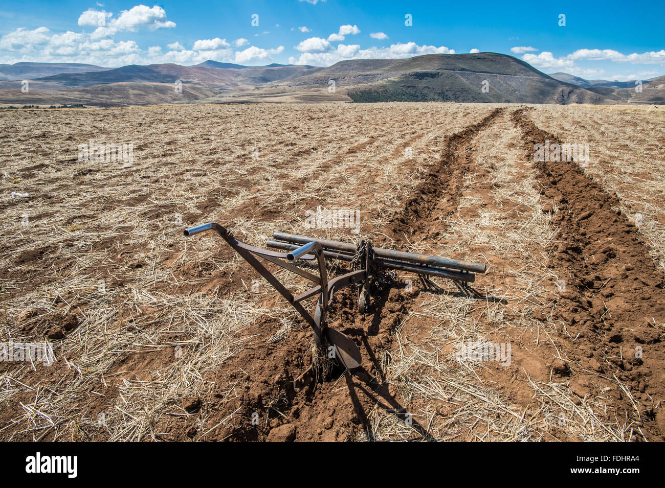 Ein Bauernhof-Pflug in eine Furche auf Ackerland in Somenkong, Lesotho, Afrika Stockfoto
